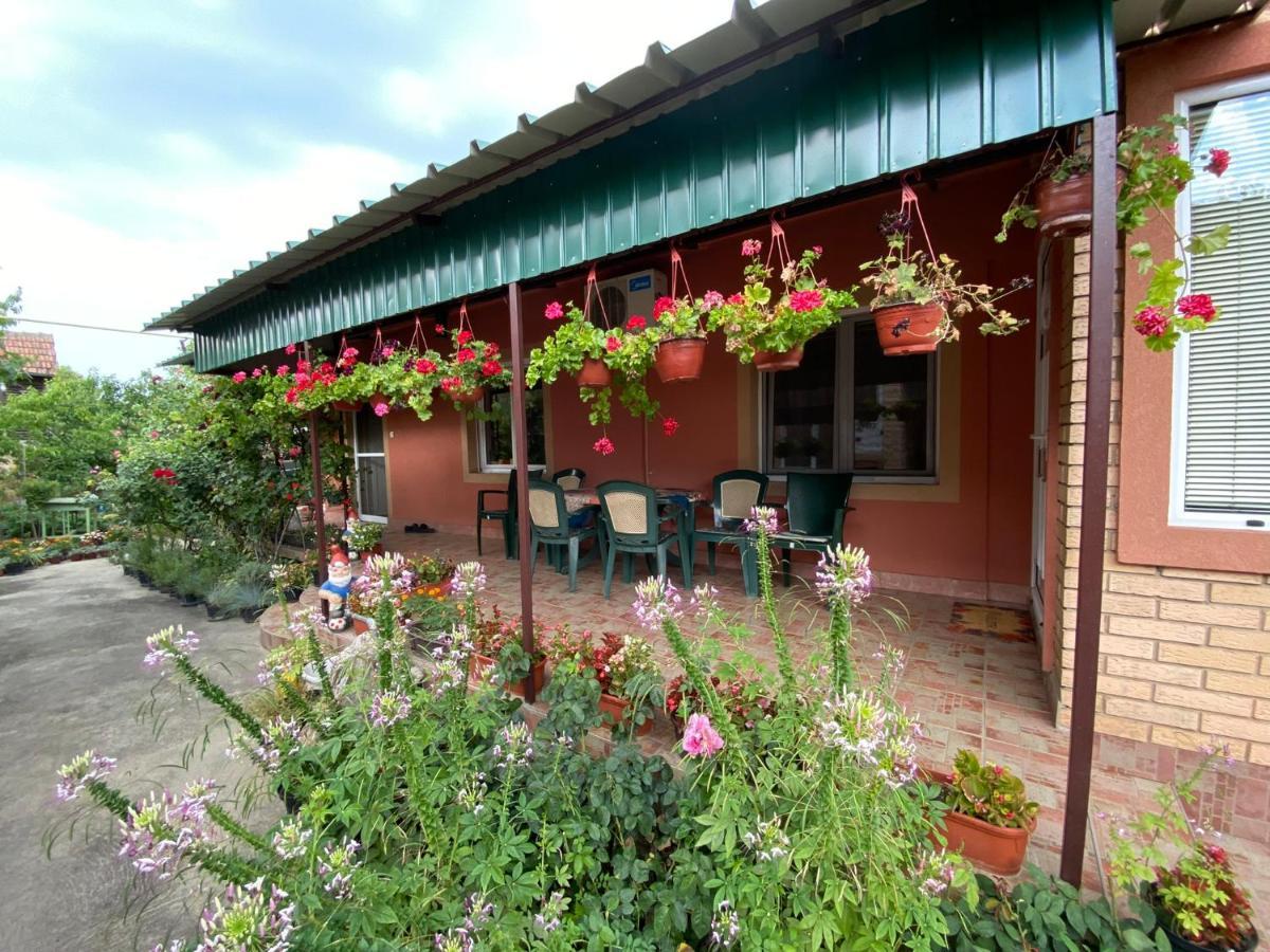 Bed and Breakfast Sud ,,Antal I Olga,, Skorenovac Экстерьер фото